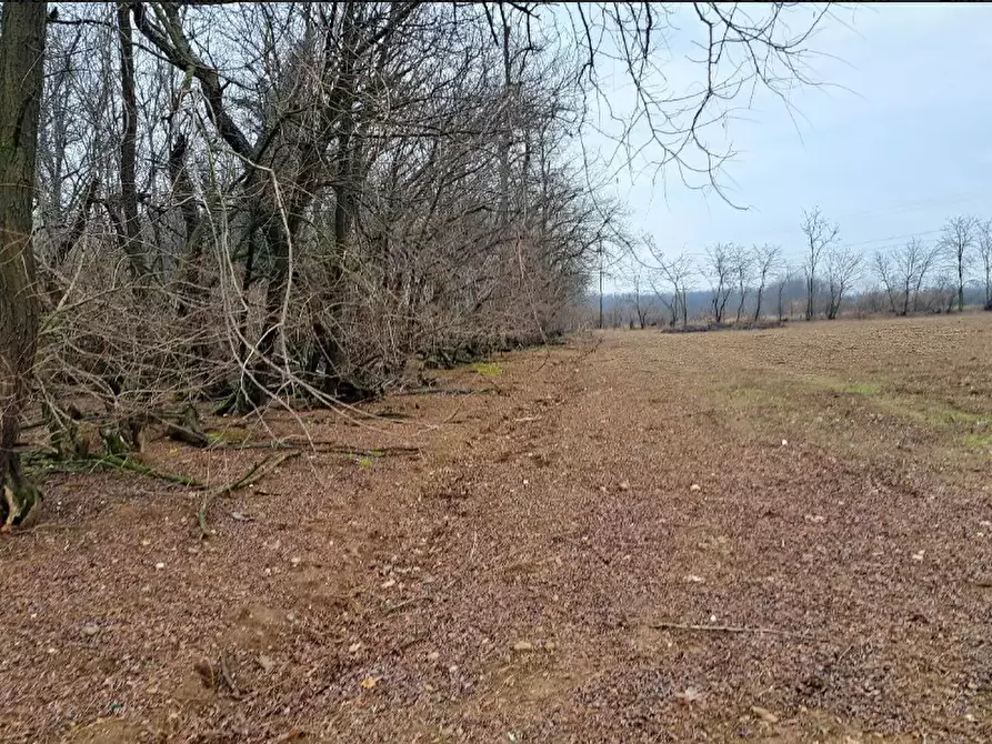 Immagine 4 di Terreno agricolo in vendita  in frazione Borsano a Busto Arsizio