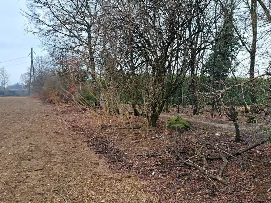 Immagine 5 di Terreno agricolo in vendita  in frazione Borsano a Busto Arsizio
