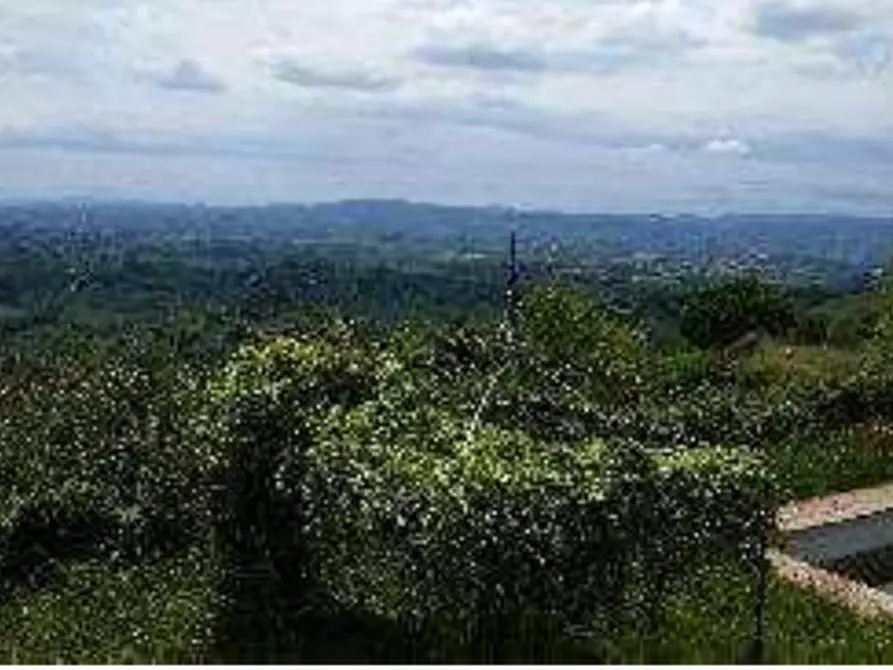 Immagine 6 di Villa in vendita  in Via Tavolese a Certaldo