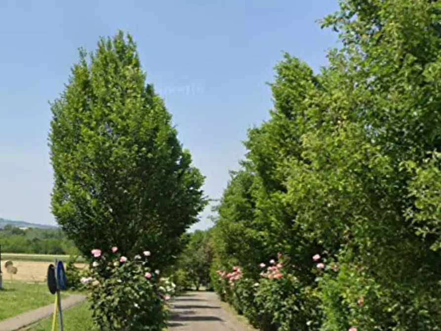 Immagine 16 di Appartamento in vendita  in Piazzale XXVII  Gennaio a Casalgrande