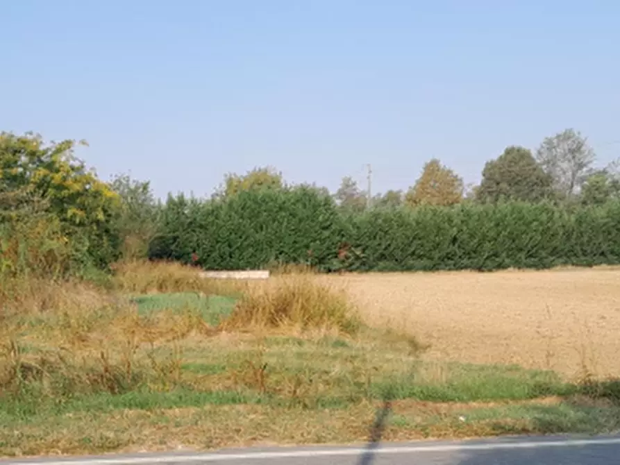 Immagine 1 di Terreno edificabile in vendita  in Via Madre Teresa di Calcutta a San Cipriano Po