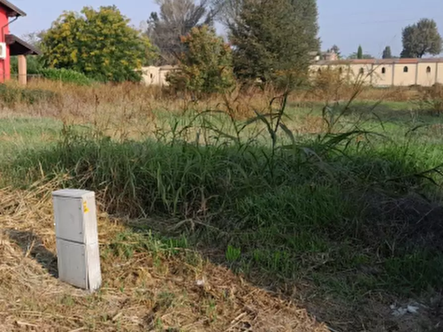Immagine 2 di Terreno edificabile in vendita  in Via Madre Teresa di Calcutta a San Cipriano Po
