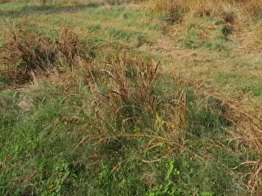 Immagine 7 di Terreno edificabile in vendita  in Via Madre Teresa di Calcutta a San Cipriano Po
