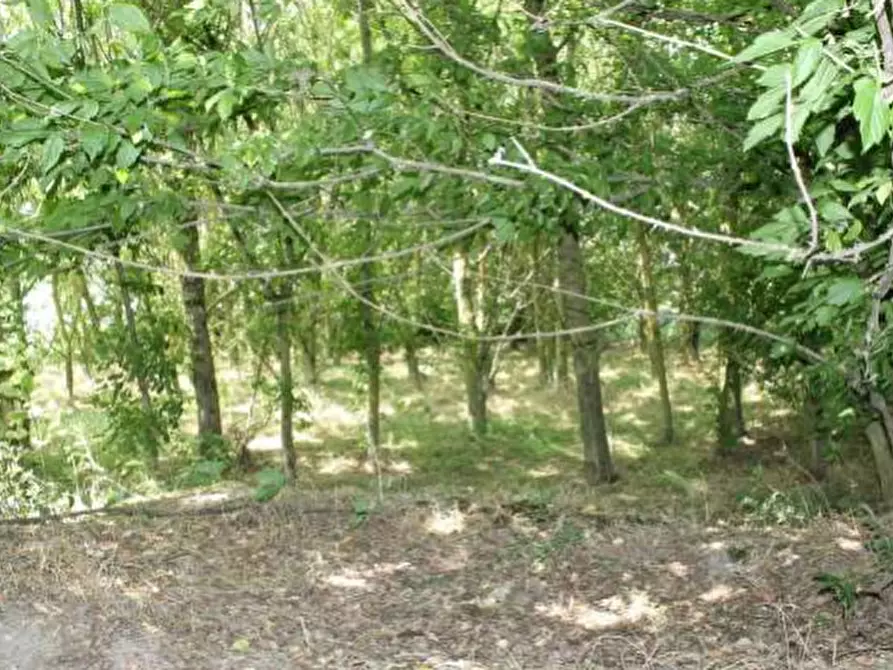 Immagine 3 di Casa indipendente in vendita  in Via Prampolini a Ferrara