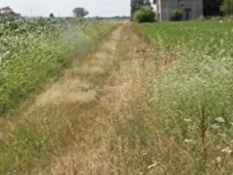 Immagine 25 di Casa indipendente in vendita  in Via Prampolini a Ferrara