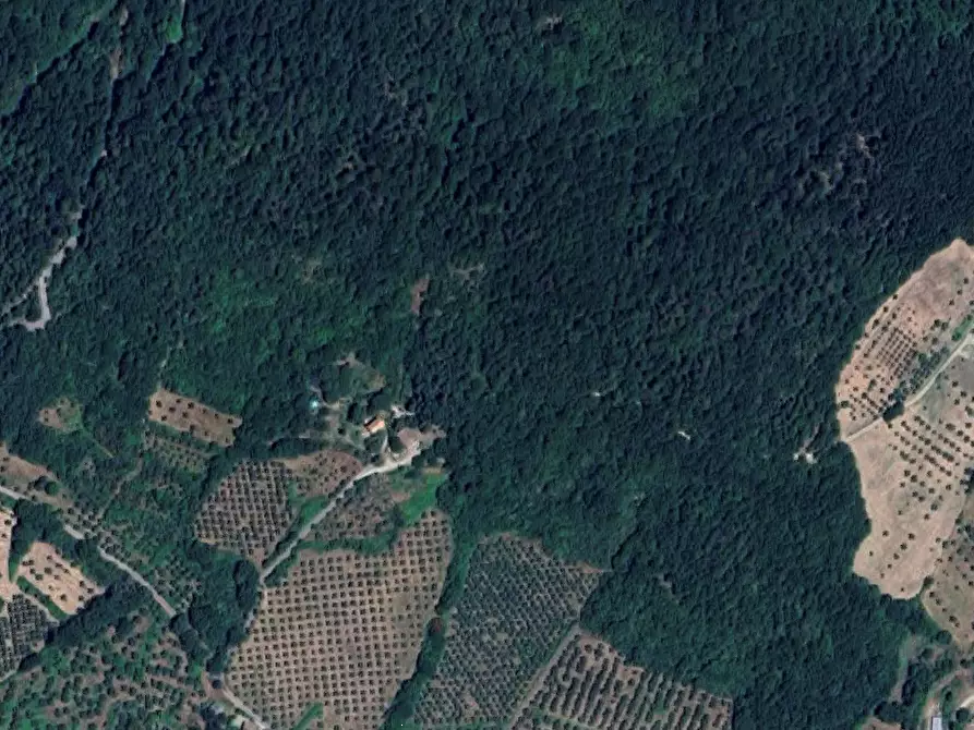 Immagine 9 di Appartamento in vendita  in Localita' Tigliano a Pontassieve