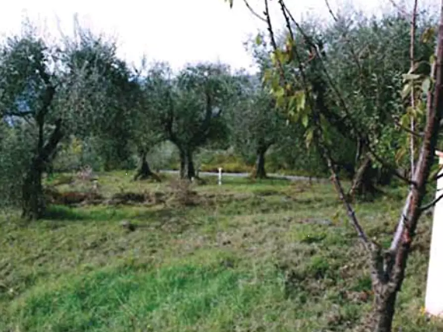 Immagine 13 di Appartamento in vendita  in Localita' Tigliano a Pontassieve