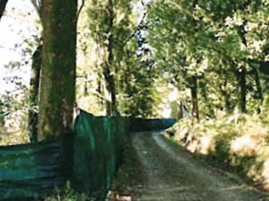 Immagine 14 di Appartamento in vendita  in Localita' Tigliano a Pontassieve