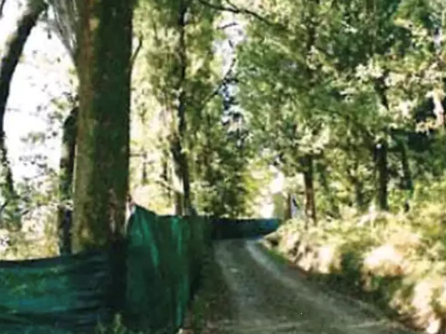 Immagine 17 di Appartamento in vendita  in Localita' Tigliano a Pontassieve