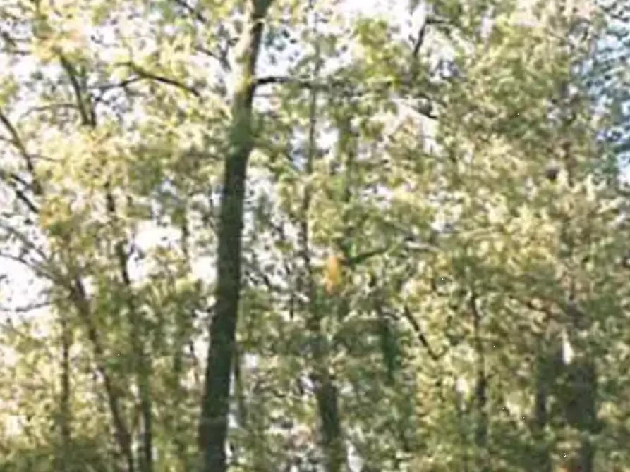 Immagine 18 di Appartamento in vendita  in Localita' Tigliano a Pontassieve