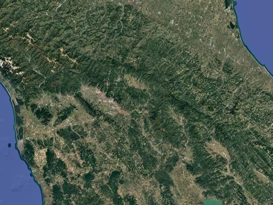 Immagine 22 di Appartamento in vendita  in Via Pier Antonio Micheli a Firenze