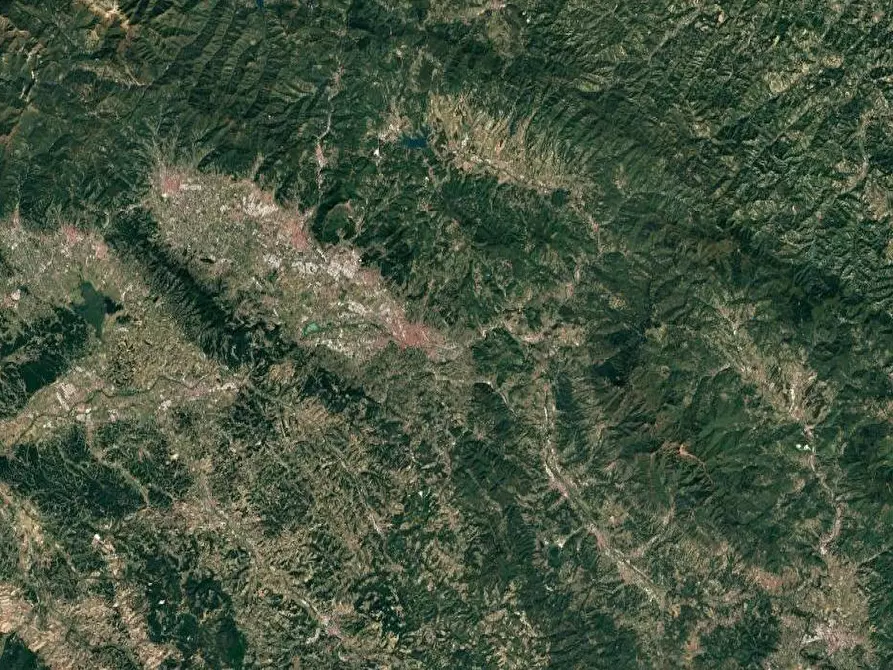 Immagine 23 di Appartamento in vendita  in Via Pier Antonio Micheli a Firenze