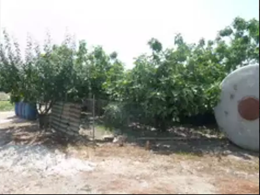 Immagine 1 di Terreno agricolo in vendita  in Localita' Il Castelluccio a Fucecchio
