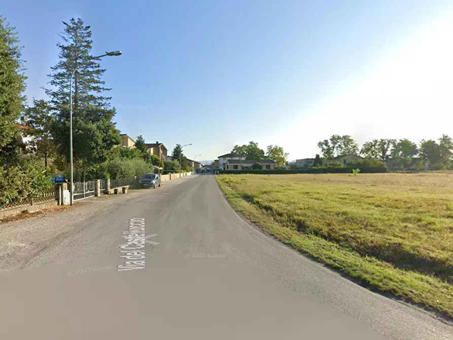 Immagine 4 di Terreno agricolo in vendita  in Localita' Il Castelluccio a Fucecchio