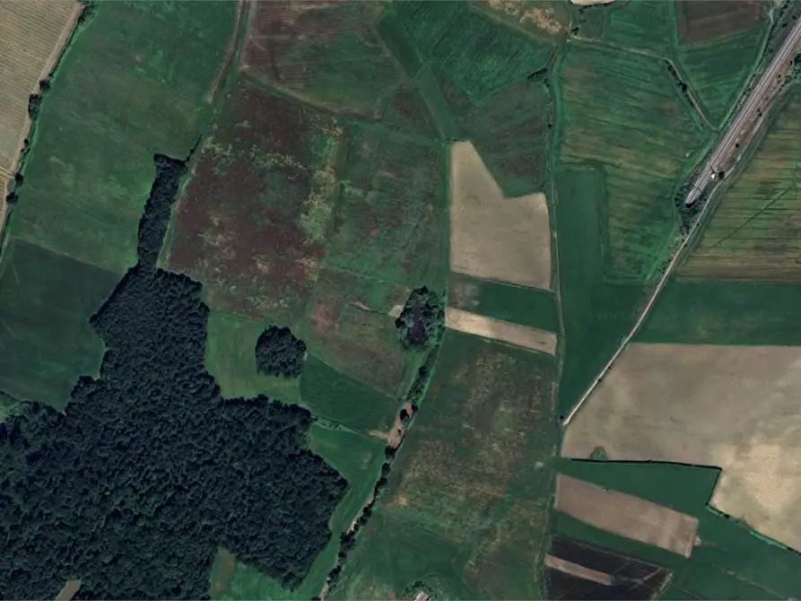 Immagine 4 di Terreno agricolo in vendita  in Via di Fagna  a Scarperia