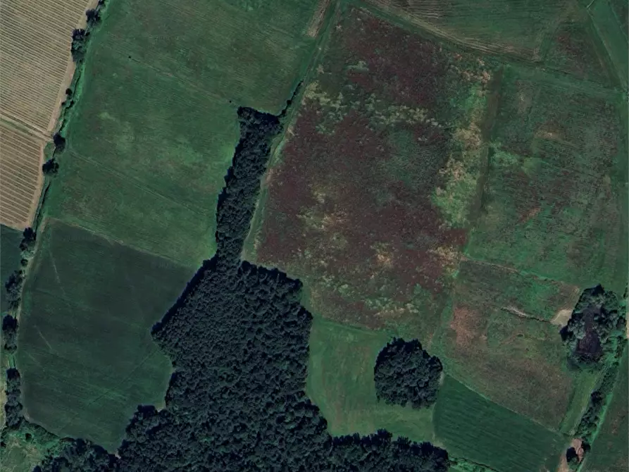Immagine 5 di Terreno agricolo in vendita  in Via di Fagna  a Scarperia