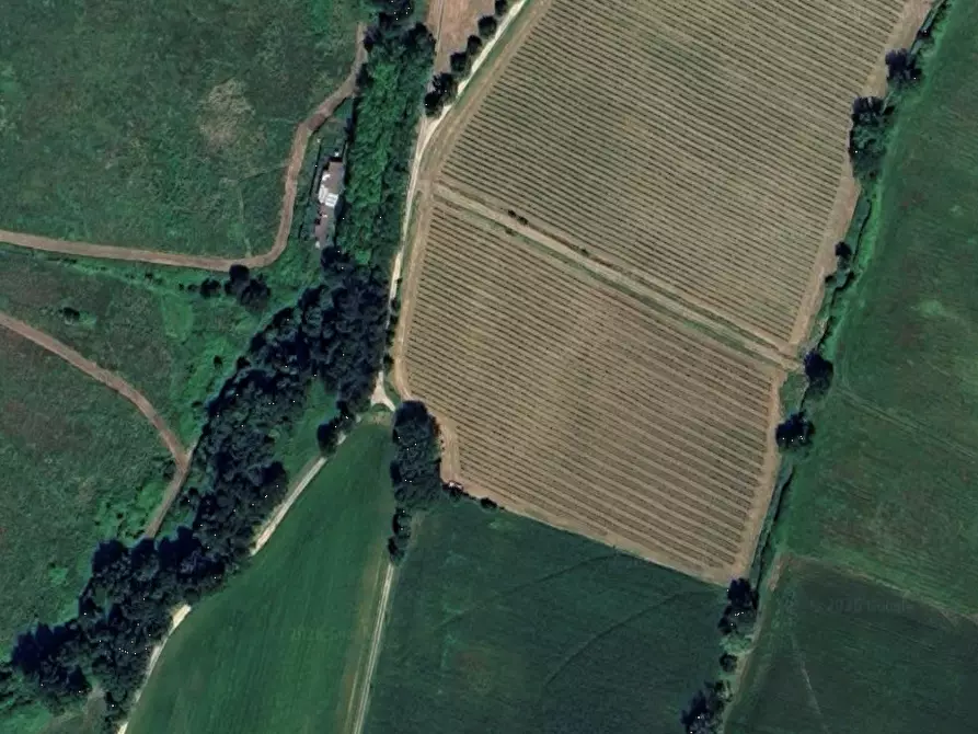 Immagine 6 di Terreno agricolo in vendita  in Via di Fagna  a Scarperia