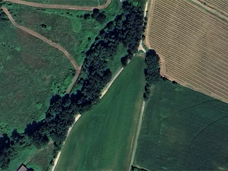 Immagine 7 di Terreno agricolo in vendita  in Via di Fagna  a Scarperia