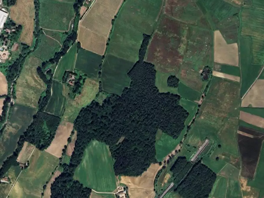 Immagine 8 di Terreno agricolo in vendita  in Via di Fagna  a Scarperia