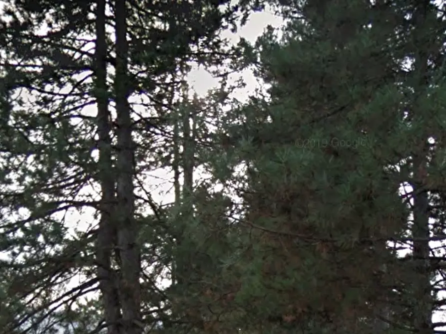 Immagine 1 di Terreno agricolo in vendita  in Via di Fagna  a Scarperia