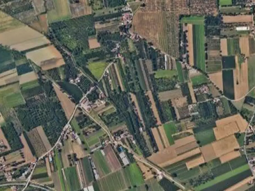 Immagine 2 di Terreno agricolo in vendita  in Via Lamia a Maddaloni