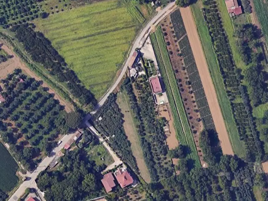 Immagine 2 di Terreno agricolo in vendita  in Via Lamia a Maddaloni