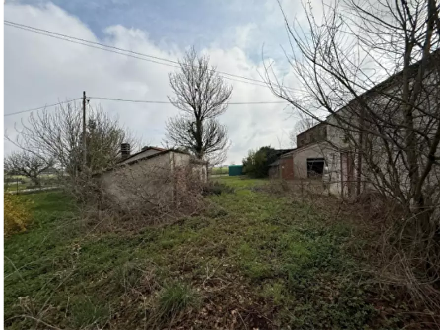 Immagine 7 di Casa indipendente in vendita  in Via IV Novembre a Vescovana