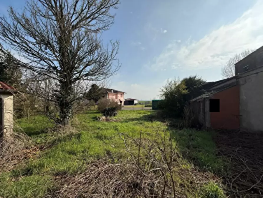 Immagine 9 di Casa indipendente in vendita  in Via IV Novembre a Vescovana