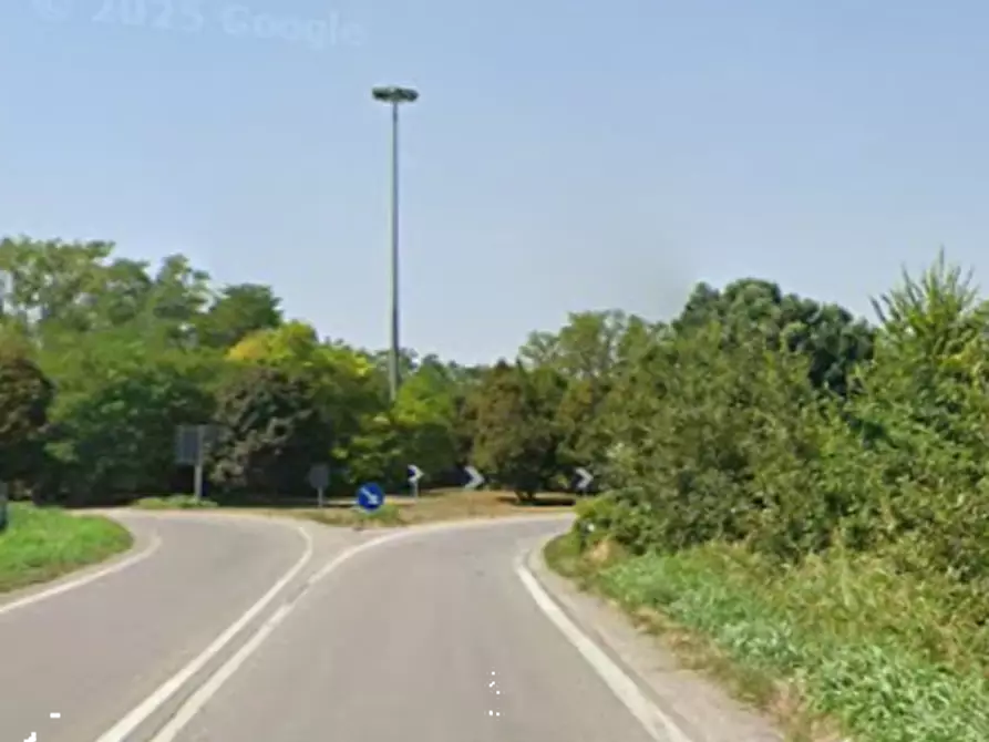Immagine 8 di Terreno agricolo in vendita  in Strada vicinale Lorenzina a Goito