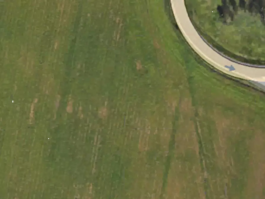 Immagine 9 di Terreno agricolo in vendita  in Strada vicinale Lorenzina a Goito