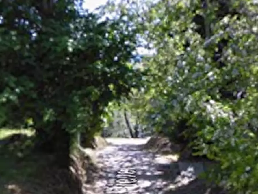 Immagine 12 di Appartamento in vendita  in Strada Pieve a Montefelcino