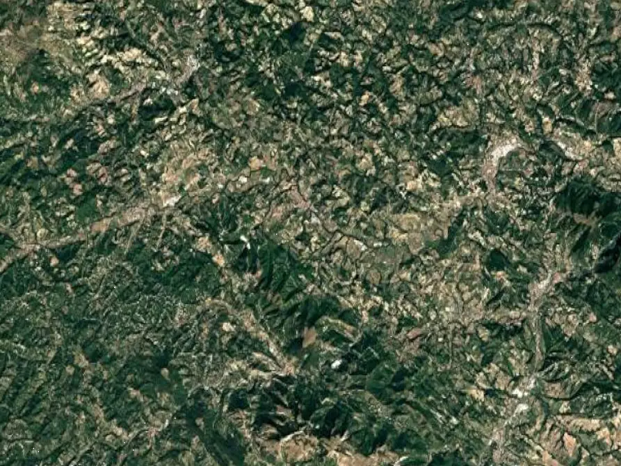 Immagine 8 di Casa indipendente in vendita  in Località San Giovanni in Petra a Peglio