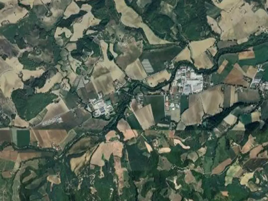 Immagine 9 di Casa indipendente in vendita  in Località San Giovanni in Petra a Peglio