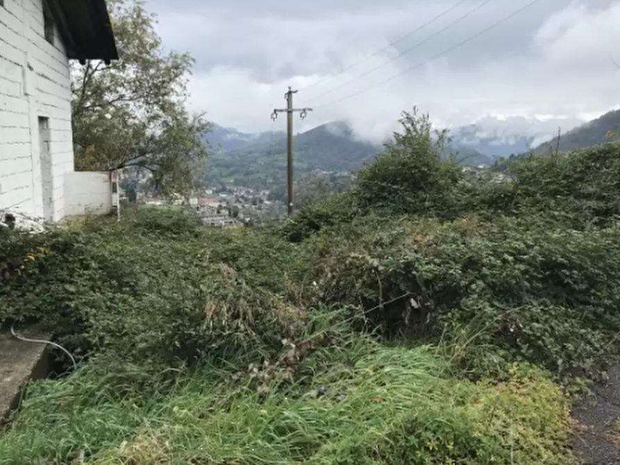 Immagine 1 di Terreno agricolo in vendita  in Via Cavaghi a Foresto Sparso