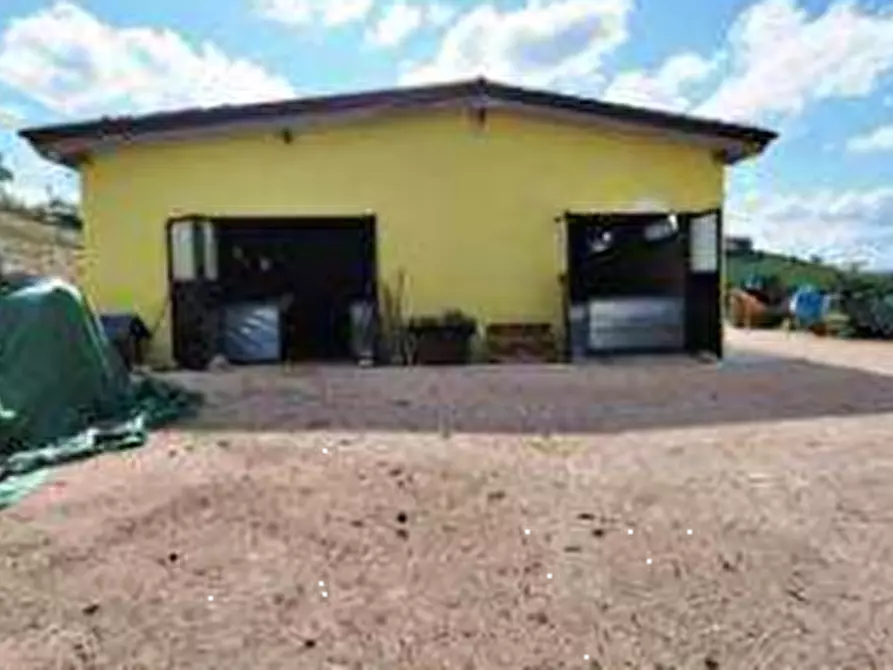 Immagine 4 di Magazzino in vendita  in Località Monteguiduccio a Montefelcino