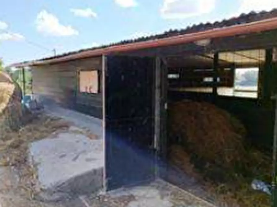 Immagine 6 di Magazzino in vendita  in Località Monteguiduccio a Montefelcino