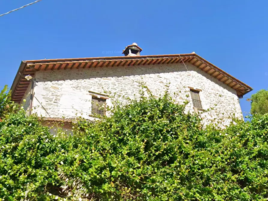 Immagine 18 di Villa in vendita  in SP319 a Magione