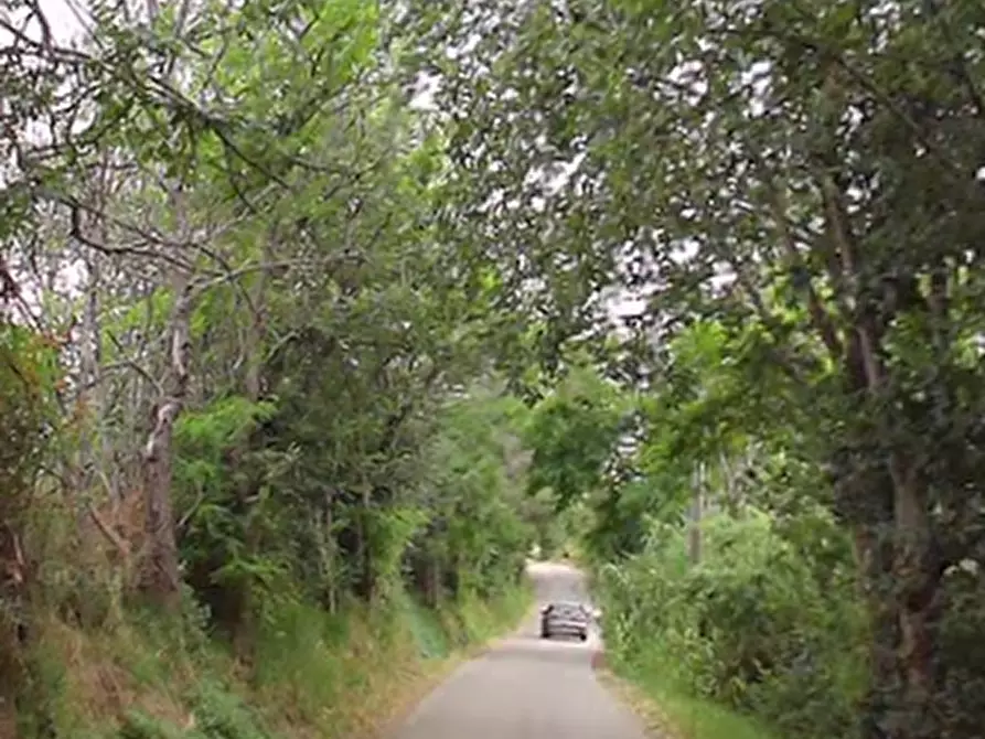 Immagine 4 di Appartamento in vendita  in Contrada Santa Petronilla a Fermo