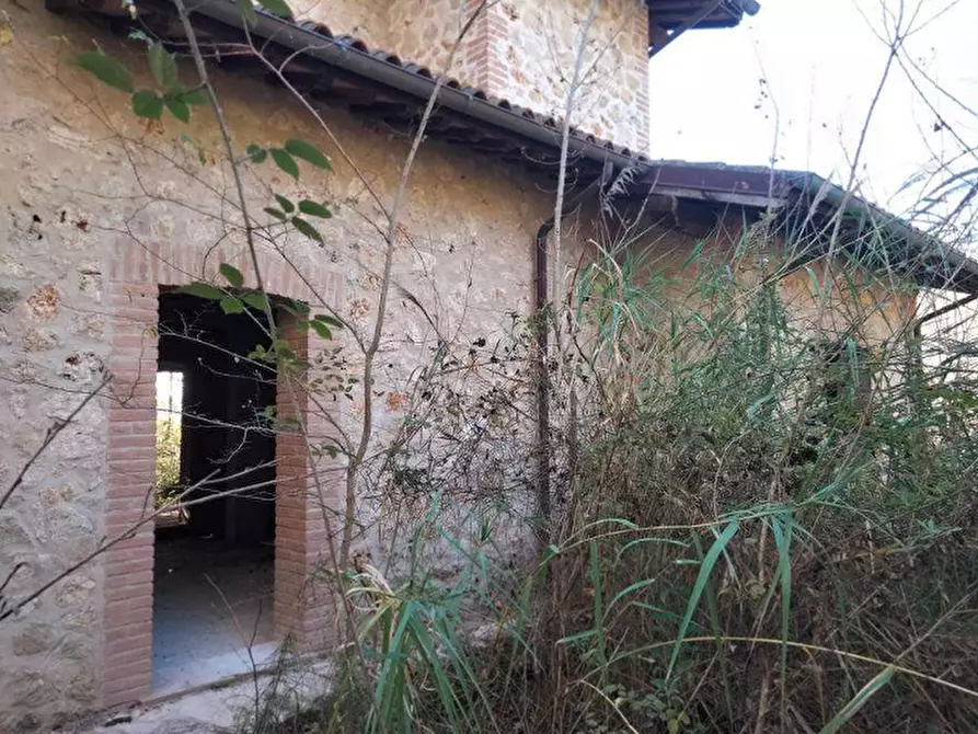 Immagine 3 di Casa indipendente in vendita  in Località Piscicoli a Giove