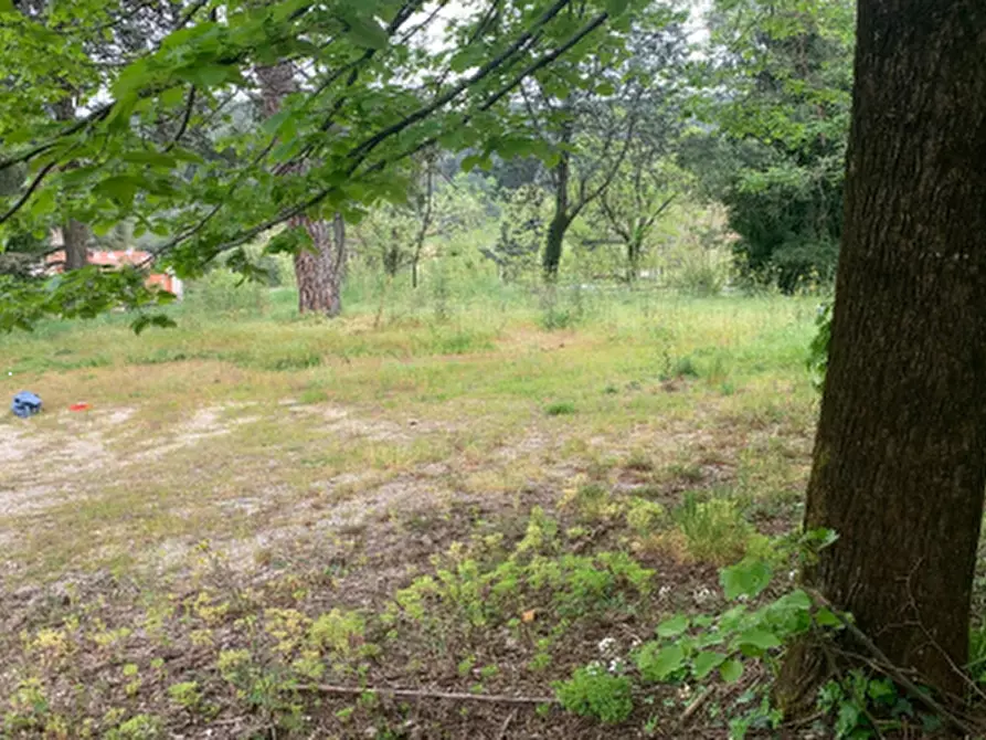 Immagine 3 di Negozio in vendita  in via Flaminia Romana a Narni