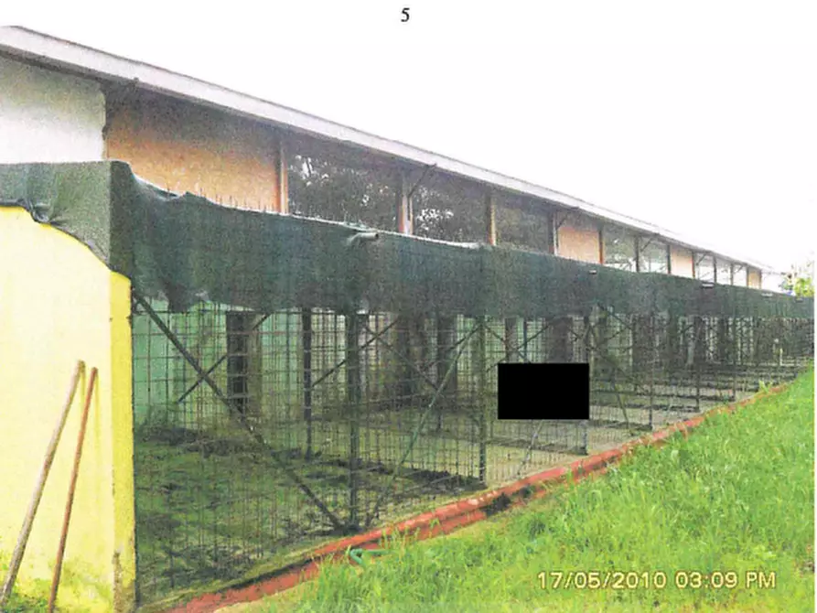 Immagine 5 di Capannone industriale in vendita  in Localita' Canneto Vocabolo Campiglione a Perugia