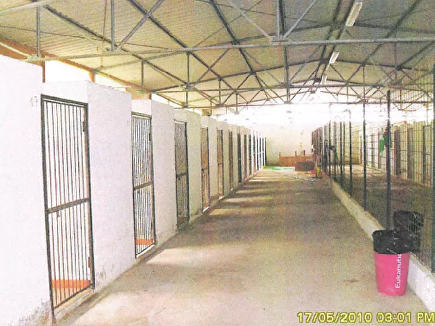 Immagine 7 di Capannone industriale in vendita  in Localita' Canneto Vocabolo Campiglione a Perugia