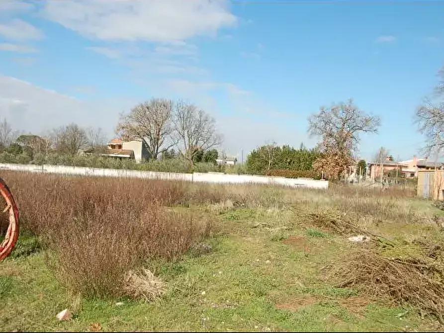 Immagine 4 di Terreno edificabile in vendita  in Via Maceratola  a Foligno