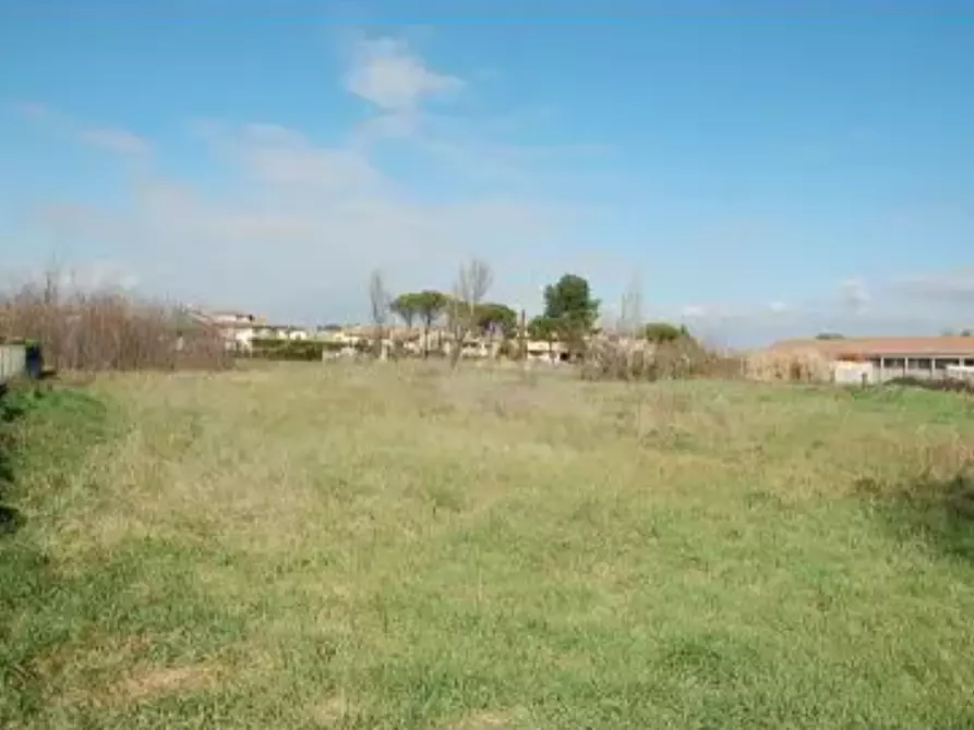 Immagine 3 di Terreno edificabile in vendita  in Via Pintor Giaime a Cannara