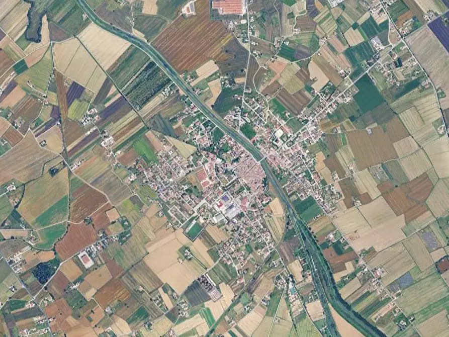 Immagine 8 di Terreno edificabile in vendita  in Via Pintor Giaime a Cannara