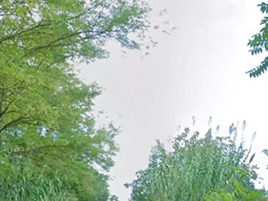 Immagine 9 di Appartamento in vendita  in Contrada Montuopoli  a Miglianico