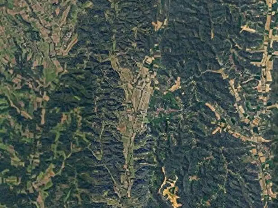 Immagine 5 di Terreno agricolo in vendita  in Montafia  a Montafia