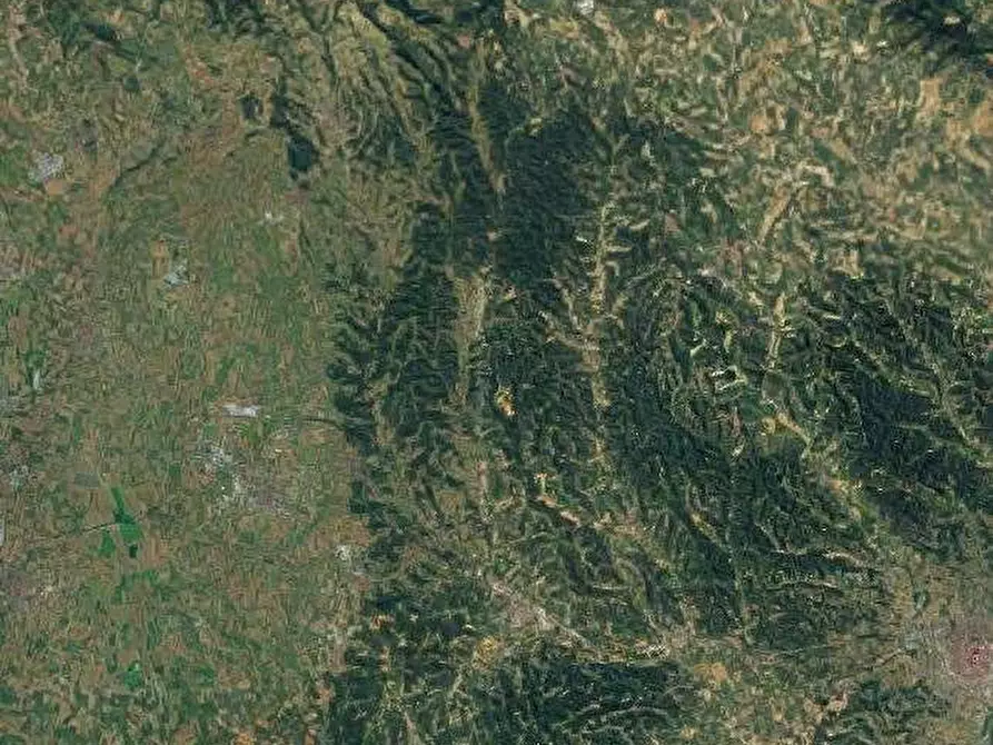 Immagine 6 di Terreno agricolo in vendita  in Montafia  a Montafia