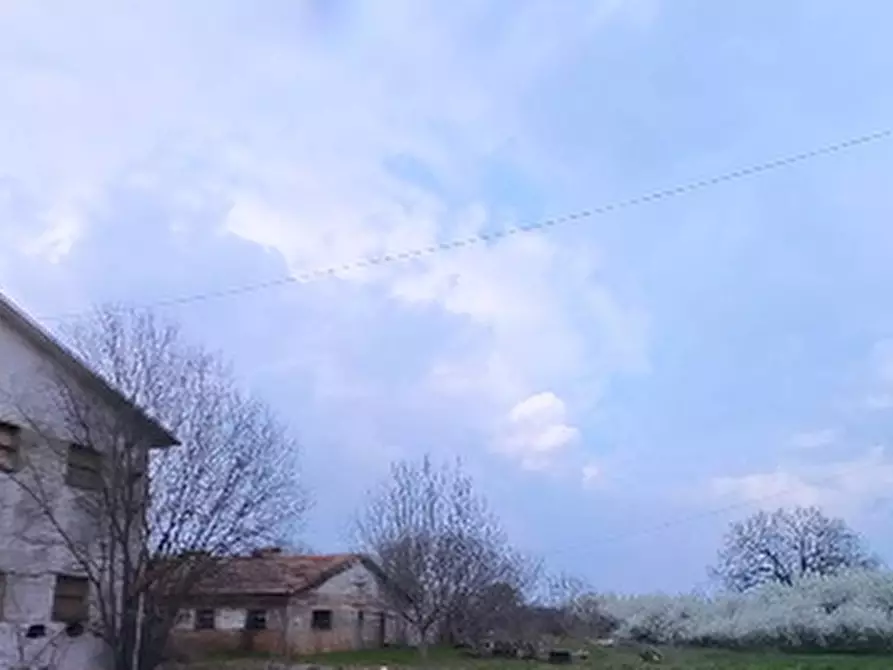Immagine 14 di Capannone industriale in vendita  in Via Muzza Corona a Castelfranco Emilia