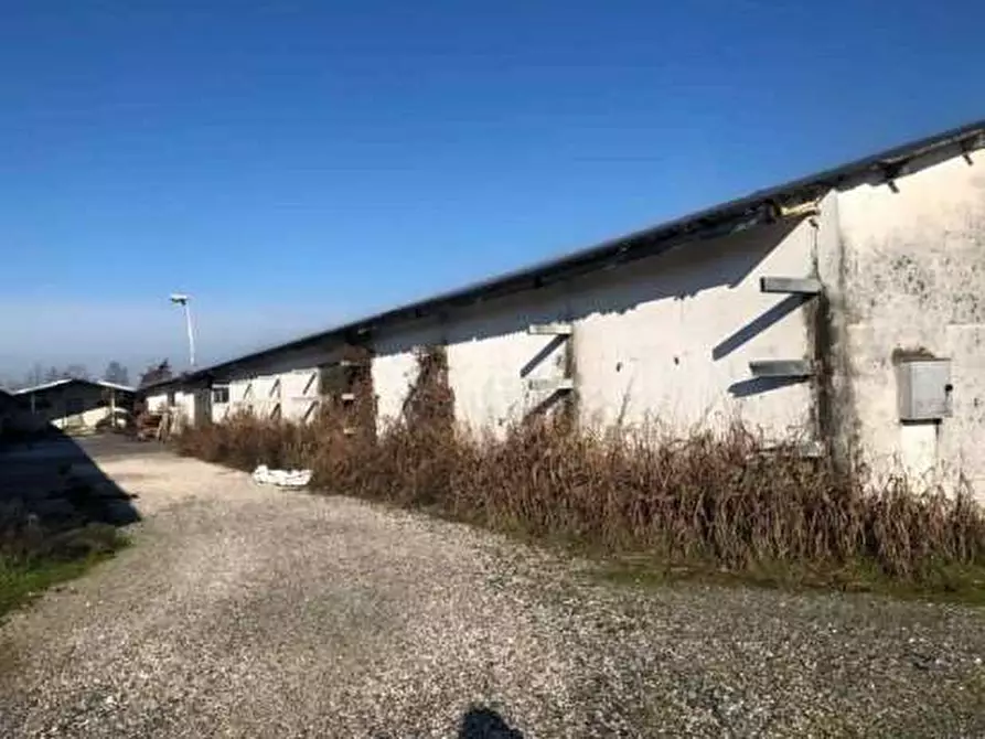 Immagine 25 di Capannone industriale in vendita  in Strada Gandine a Ghedi